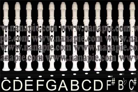 recorder-musical-instrument-poster-large-fingerings-white recorder-black-background-c-scale-f-sharp-b-flat-c-sharp-large-2-by-3-feet-poster